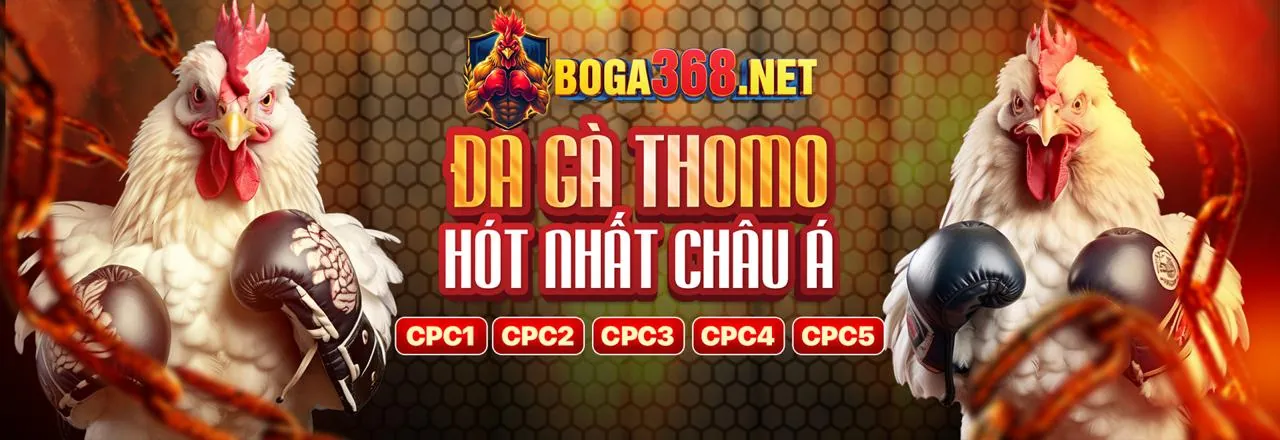Đá gà trực tuyến kịch tính tại legabet trang chủ chính thức